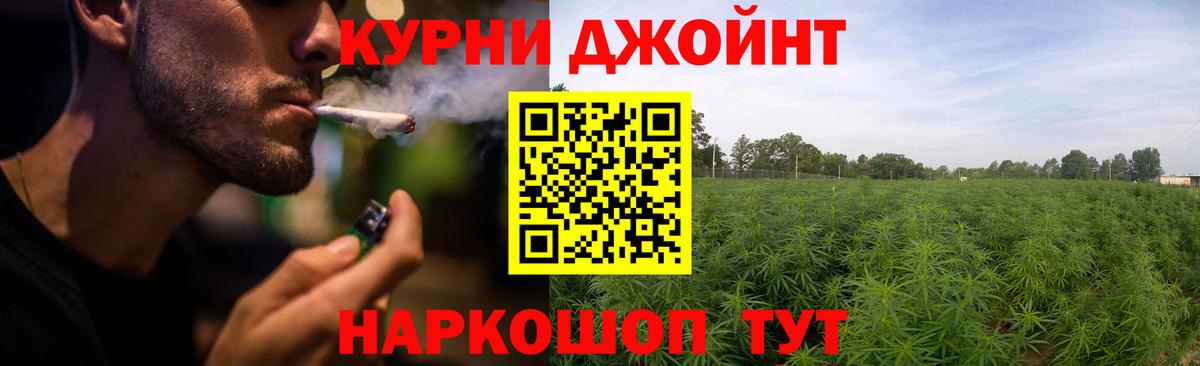 Каннабис SATIVA & INDICA  Канабис гибрид  Марихуана семена  Вход с VPN  Карталы 